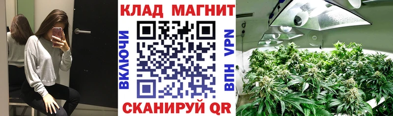 Где можно купить наркотики Устюжна Alpha PVP Галлюциногенные грибы Конопля Меф