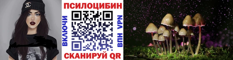Галлюциногенные грибы MAGIC MUSHROOMS shop как зайти Устюжна дарнет шоп
